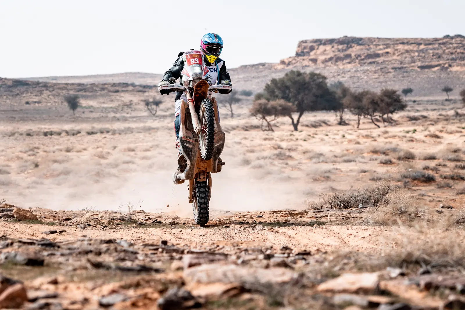 Un pilota arriva di fronte su una pista tra gli arbusti, Dakar 2025